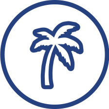Home Icon Palm